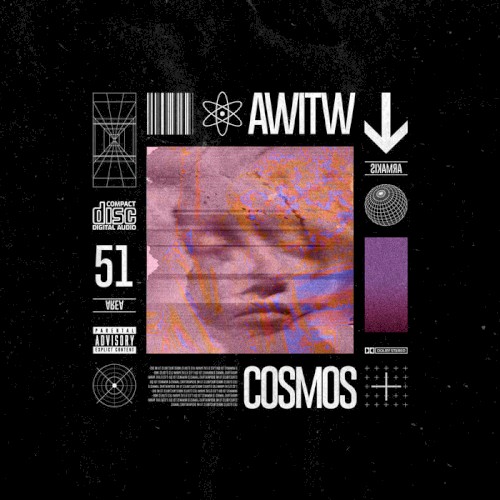 Cosmos