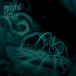 spiteful lattice