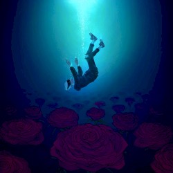 Into The Dark