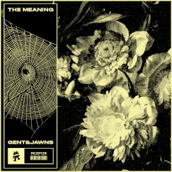 The Meaning EP