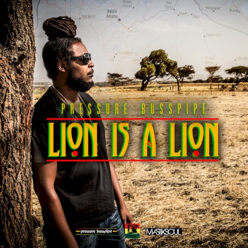 Lion Is a Lion