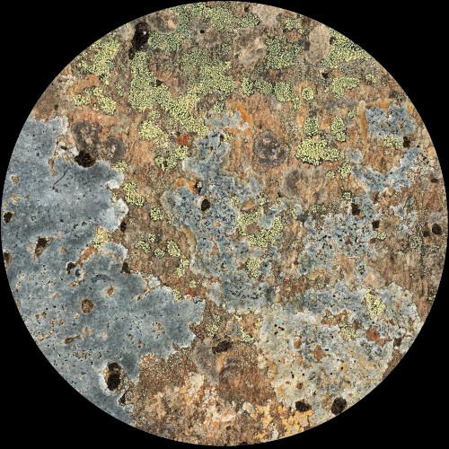 MOA003