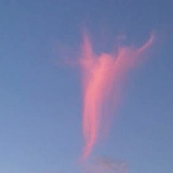 ANGEL SIGHTINGS