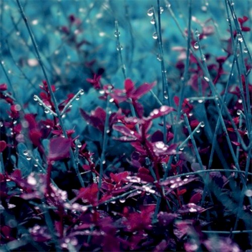 Films (instrumental version)