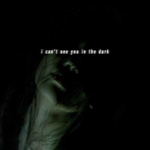 I Can't See You in the Dark