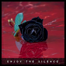 Enjoy the Silence