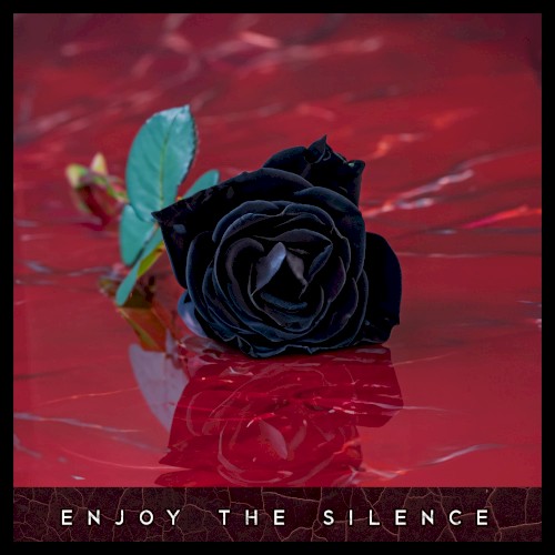 Enjoy the Silence