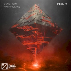 Feel It