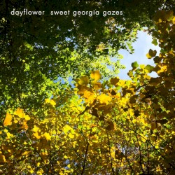 Sweet Georgia Gazes