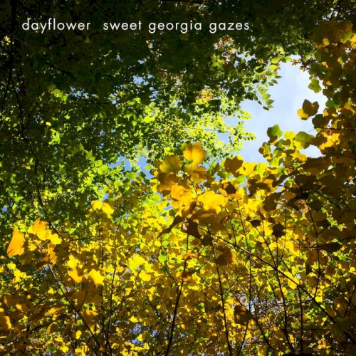 Sweet Georgia Gazes