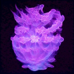 cylces 9