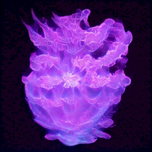 cylces 9