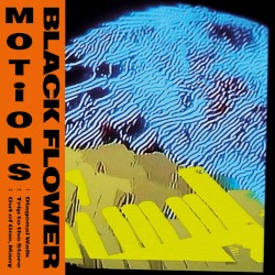 Motions
