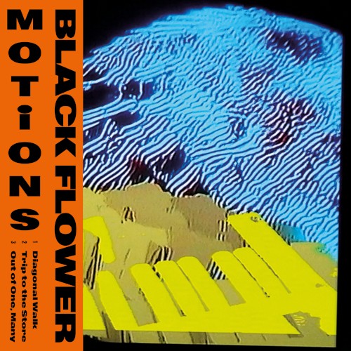 Motions