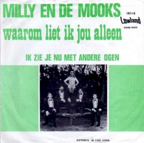 Waarom liet ik jou alleen