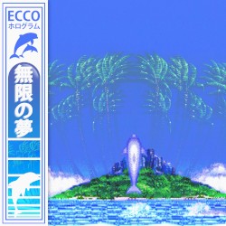 ECCO HOLOGRAM