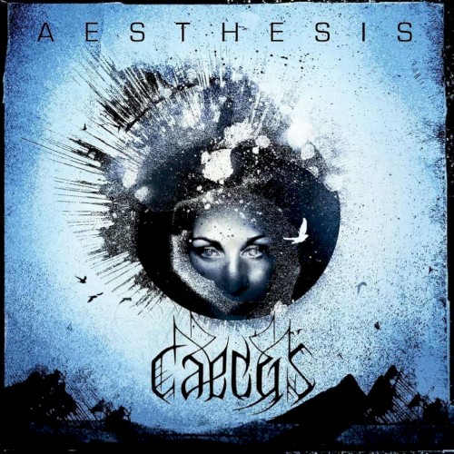 Aesthesis