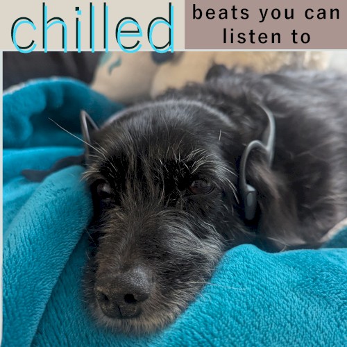 chilled beats you can listen to