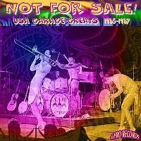 USA Garage Greats 1965-1967: Vol. 33: Not For Sale!