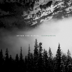 Evergreen