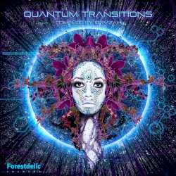 Quantum Transitions