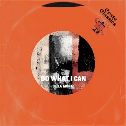 Do What I Can