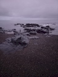 orka