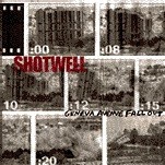 Geneva Avenue Fall Out / The City That Never Sleeps