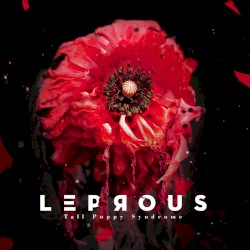 Tall Poppy Syndrome