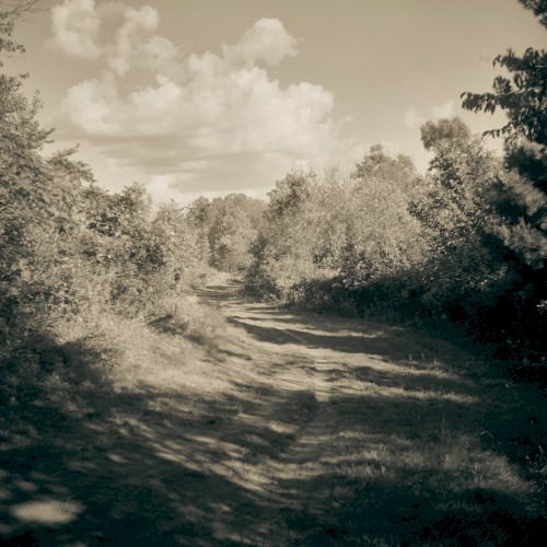 Old Paths
