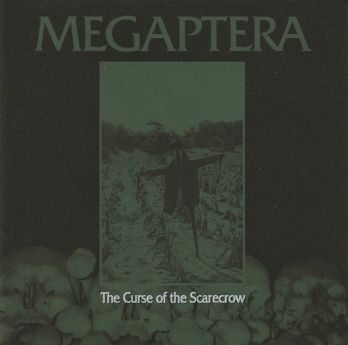 The Curse of the Scarecrow