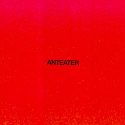 Anteater