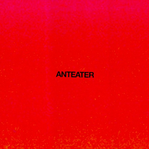 Anteater