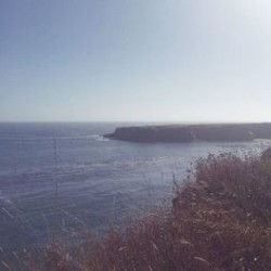 Beyond The Sea