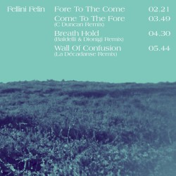 Temporary Fiction (Remixes)