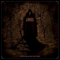 As Dust Reaches the Earth
