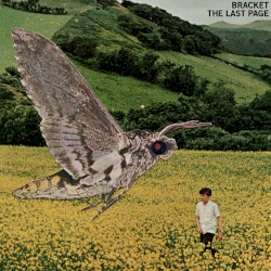 The Last Page