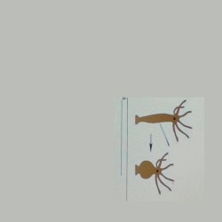 It Sometimes Jumped {*}