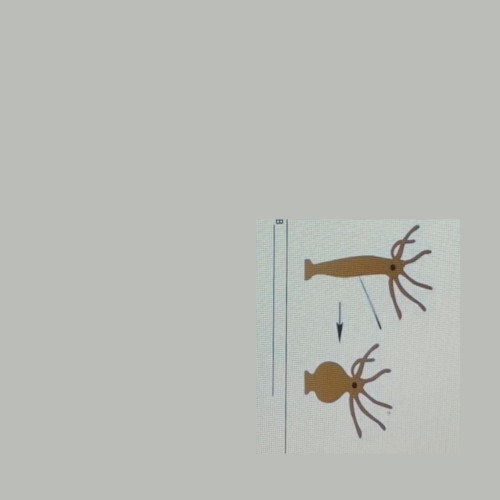 It Sometimes Jumped {*}