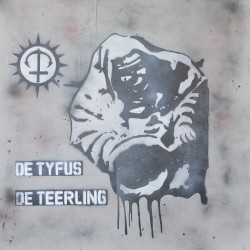 De tyfus, de teerling