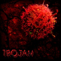 Trojan