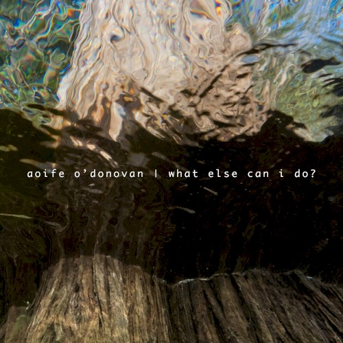 What Else Can I Do?