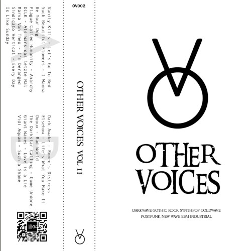 Other Voices, Vol. 2