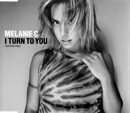 I Turn to You