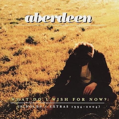 What Do I Wish for Now? (Singles + Extras 1994-2004)