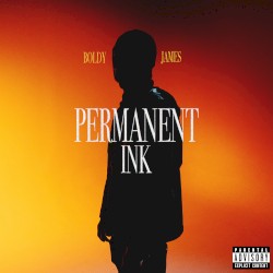 Permanent Ink