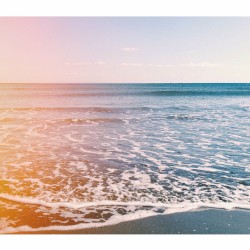 Sea Said