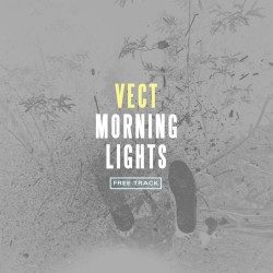 MORNING LIGHTS