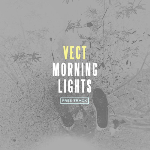 MORNING LIGHTS