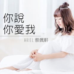 你說你愛我 You Said You Love Me